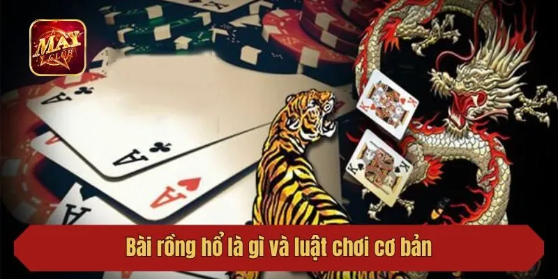 Bài rồng hổ là gì và luật chơi cơ bản
