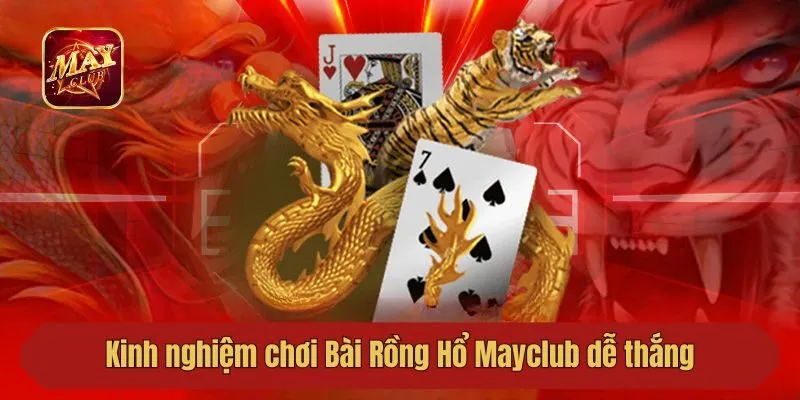 Kinh nghiệm chơi Bài Rồng Hổ Mayclub dễ thắng 2025