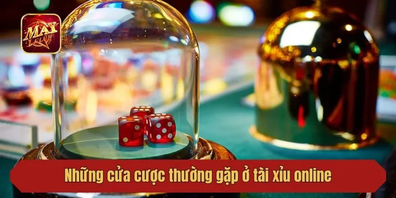 Những cửa cược thường gặp ở tài xỉu online