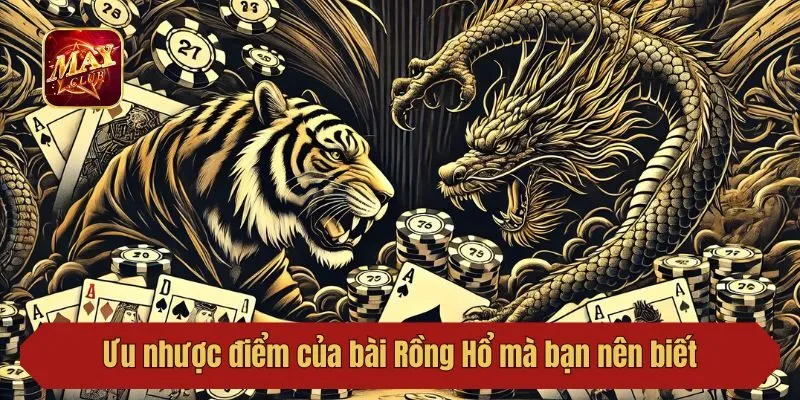 Ưu nhược điểm của bài Rồng Hổ mà bạn nên biết