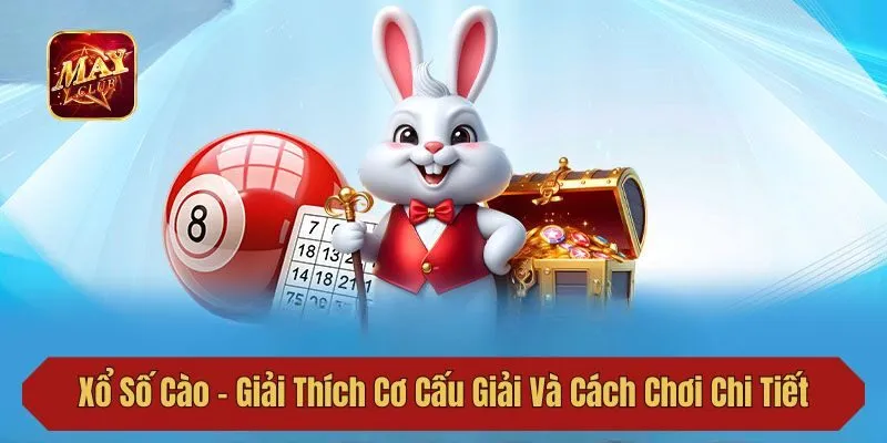 Xổ Số Cào - Giải Thích Cơ Cấu Giải Và Cách Chơi Chi Tiết
